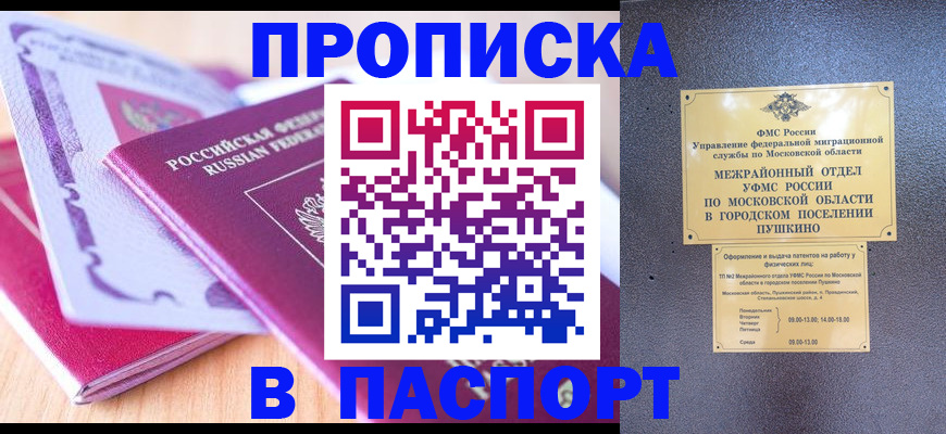 прописка законно в Шумихе